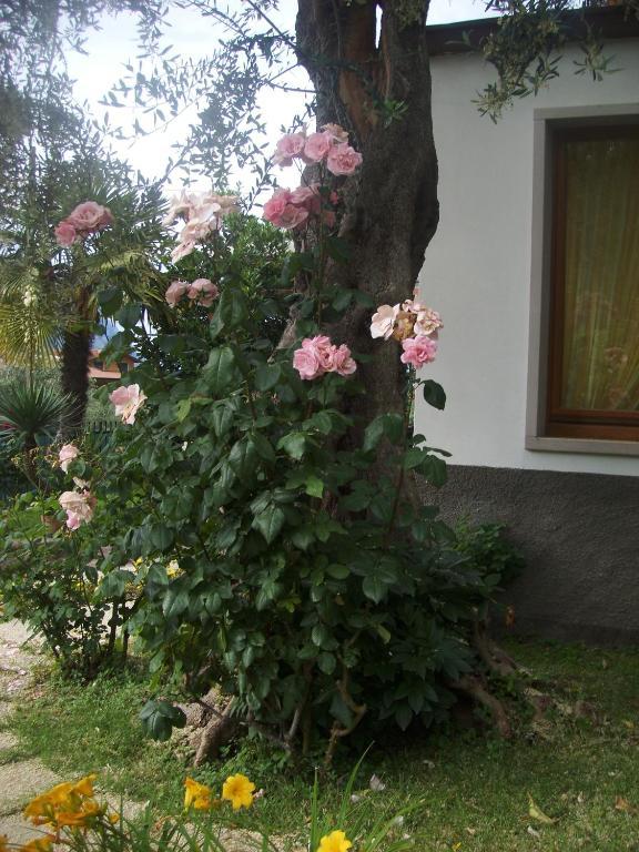 Garni Casa Rabagno Hotel Malcesine Eksteriør billede